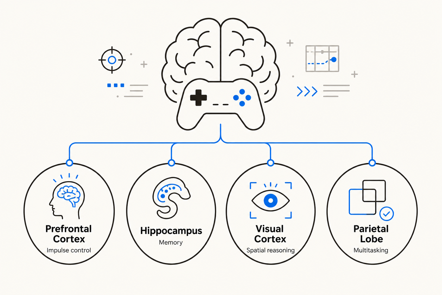 How video games build cognitive skills - a diagram of key brain regions
