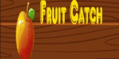 Fruit catch